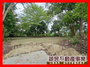 誠昱/左鎮區公所農地建地.